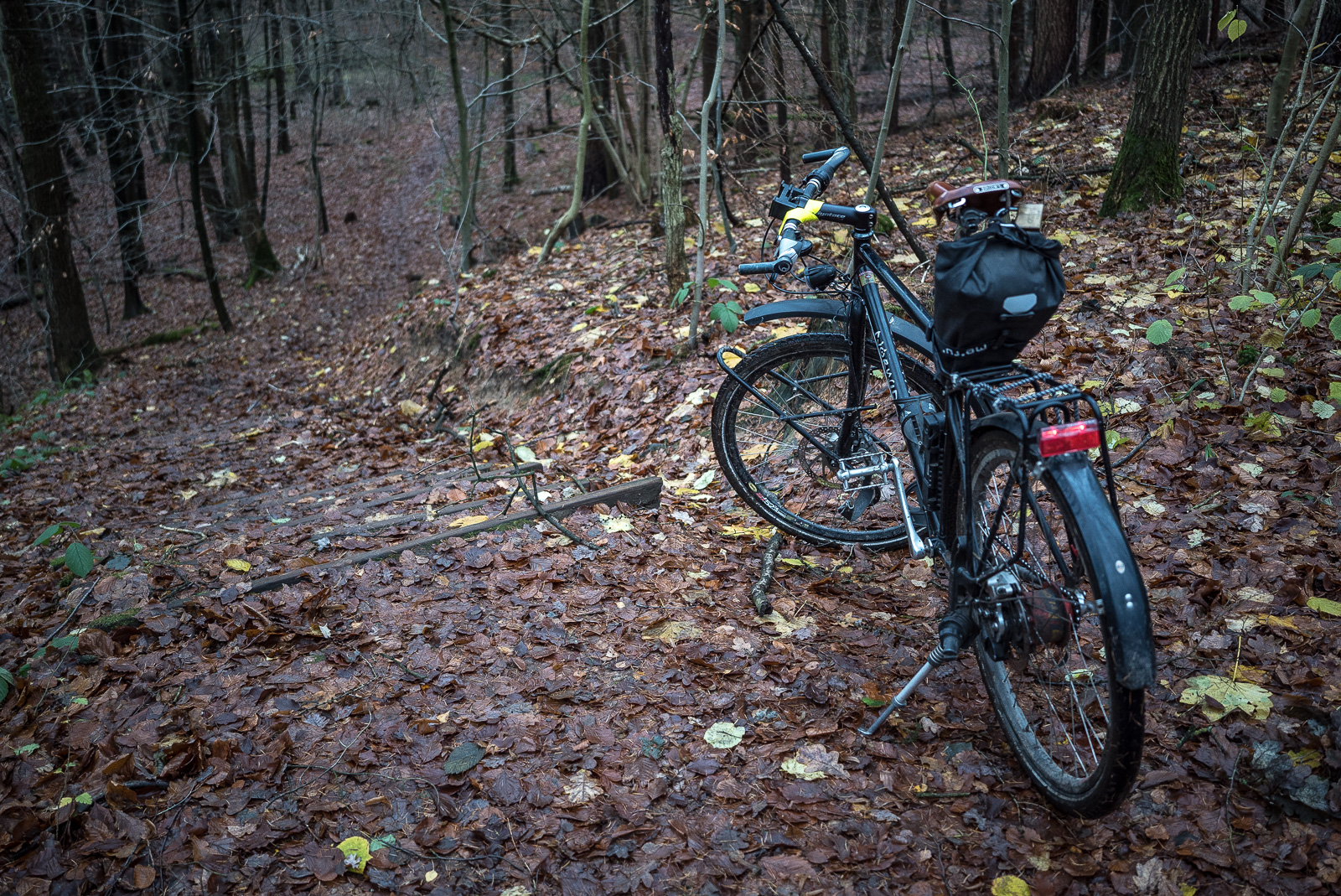 Fahrrad vor steil abfallendem Waldweg