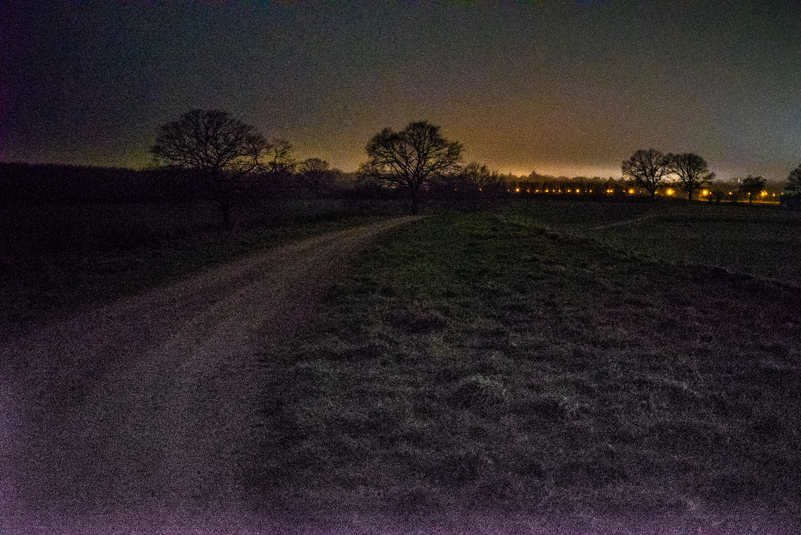 Nachtaufnahme: Weg übers Feld mit Bäumen und Laternen hinten