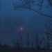 Abendlicher Nebel in blauem Dämmerlicht: Teich mit schemenhaften Bäumen und wenigen Lichtern