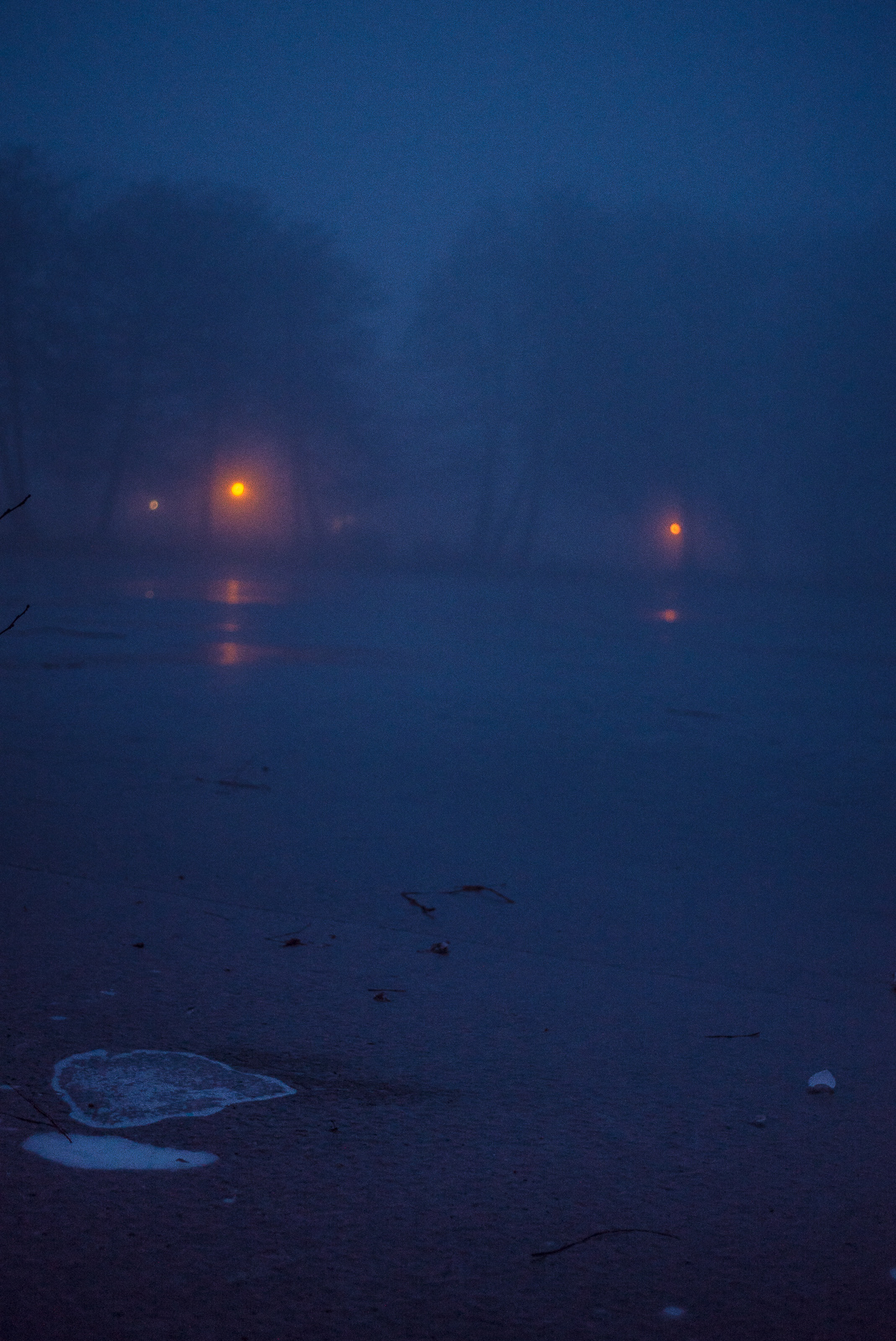 Abendlicher Nebel in blauem Dämmerlicht: Eis auf dem Teich, Baumschemen im Hintergrund