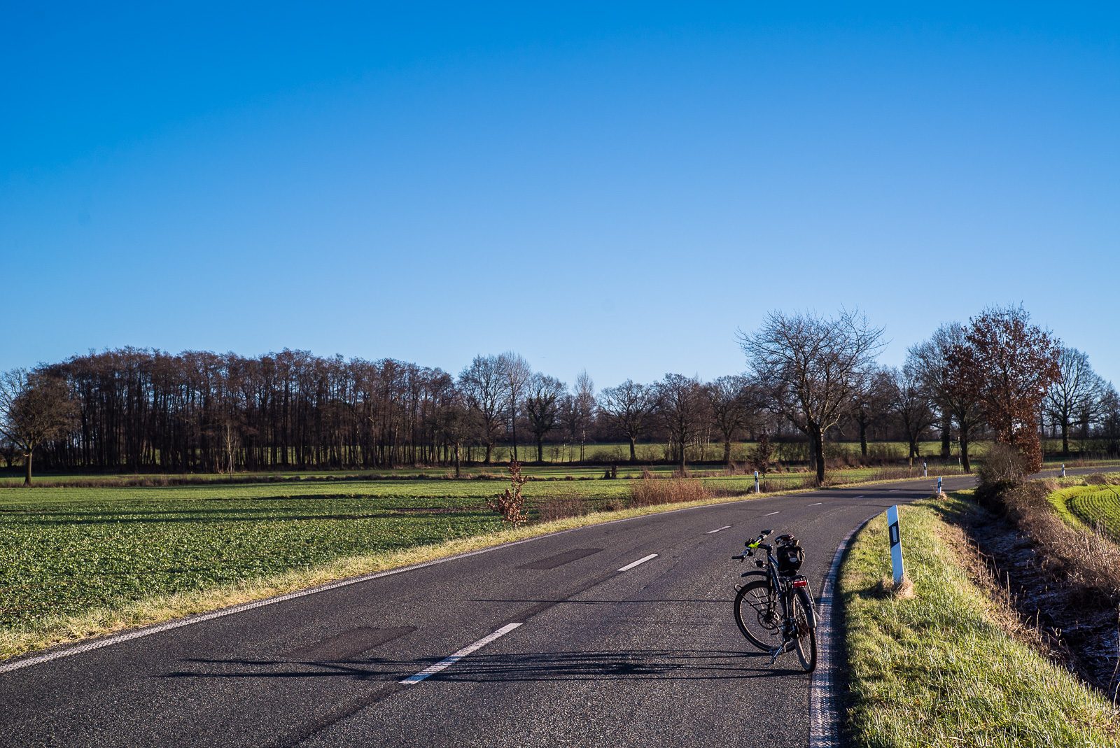 blauer Himmel über einem Feld und Bäumen in Norddeutschland, eine Landstraße, ein Fahrrad