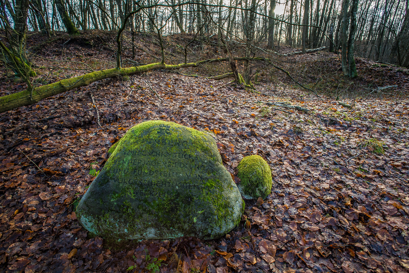 Gedenkstein Pinnberg mit bewaldeter Umgebung (mglw. Reste eines Ringwalls)