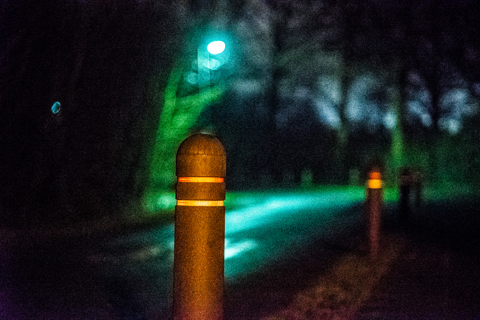tunnelartiger Blick längs einer dunklen Straße am Waldrand, im Vordergrund ein Poller