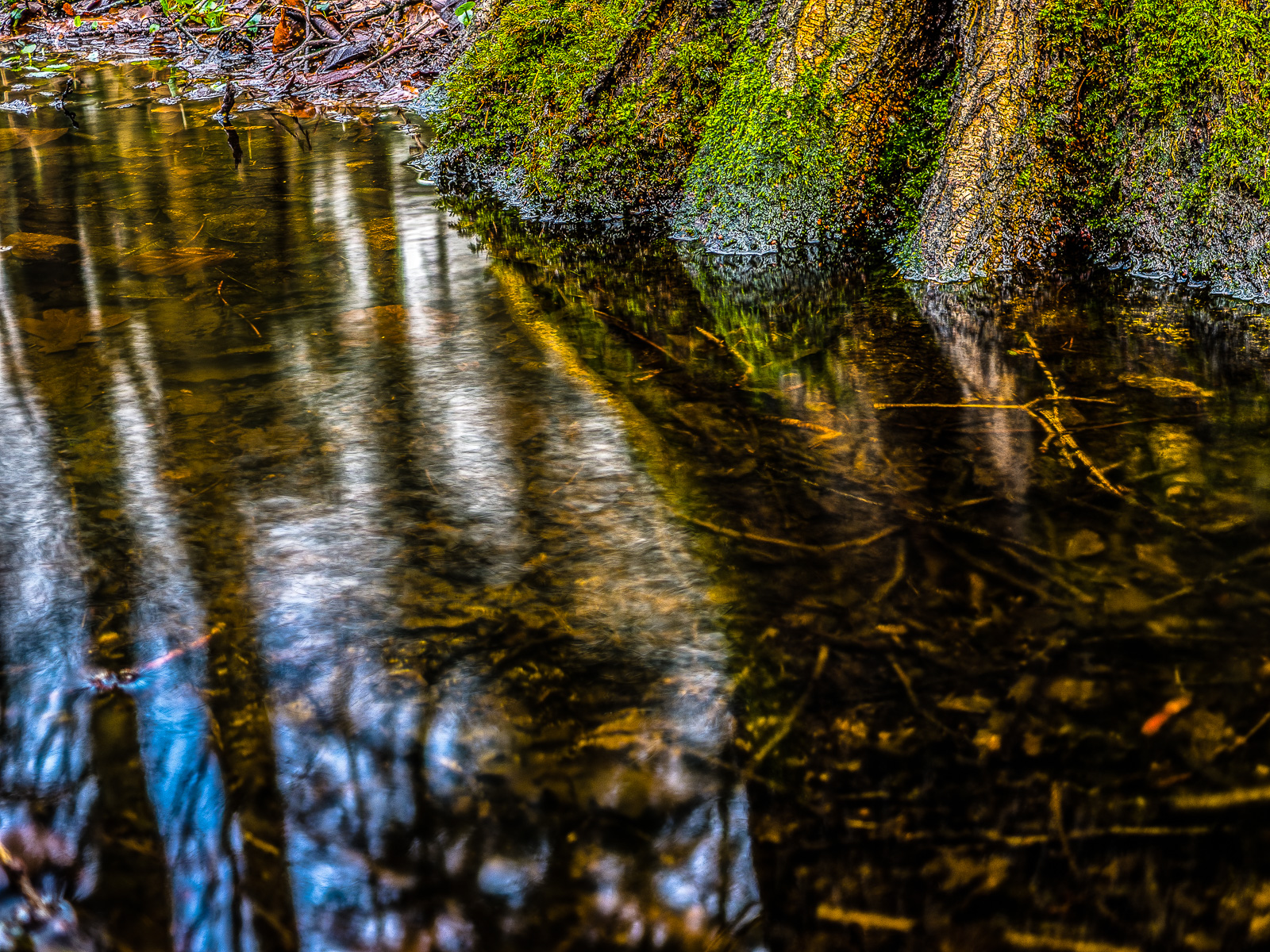 Ein Bach fließt an einem bemoosten Baum vorbei. Lange Belichtung, das Wasser ist weich abgebildet wie mit dem Pinsel gezeichnet.