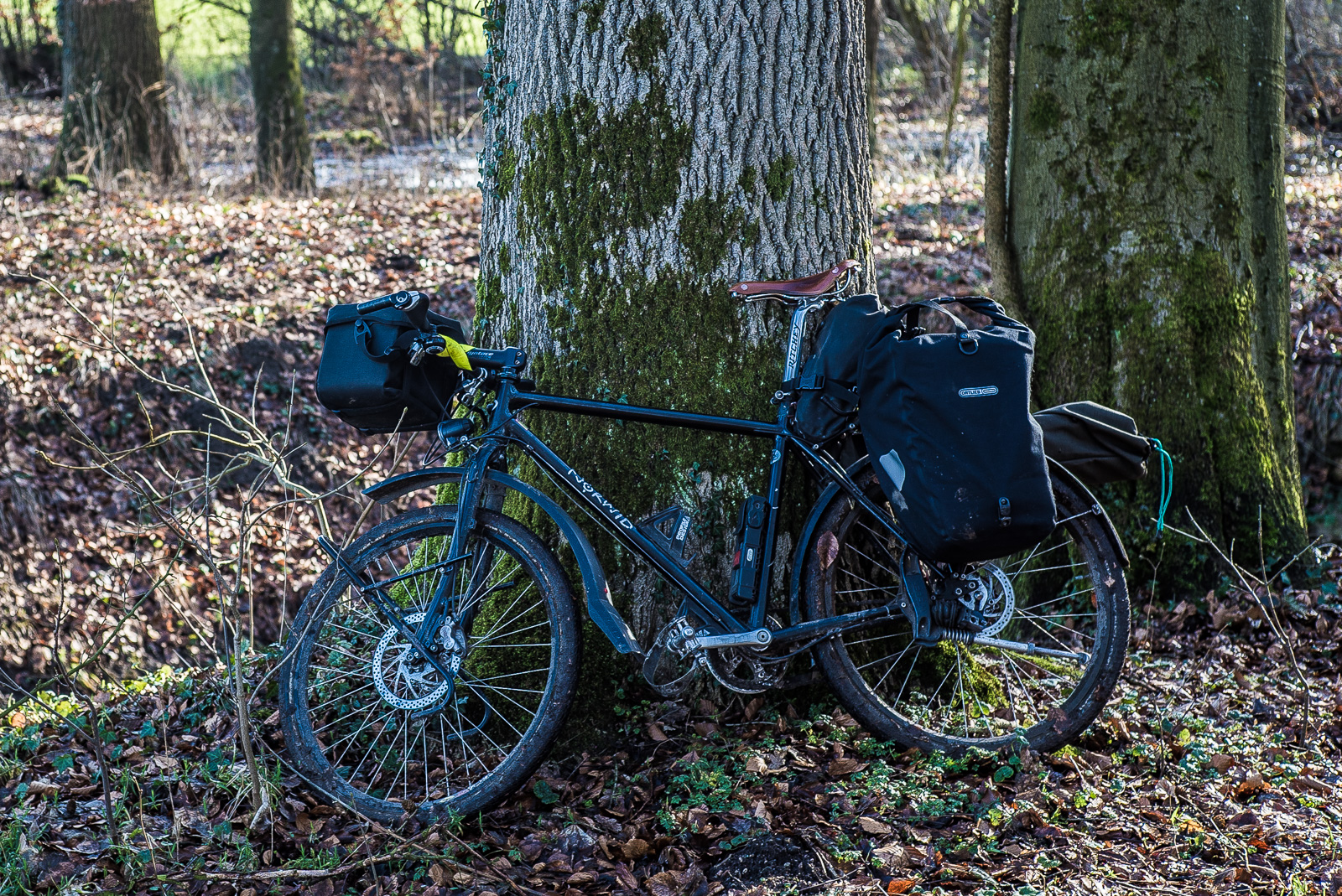 Ein schwarzes Fahrrad mit braunem Sattel und schwarzen Packtaschen lehnt an einer bemoosten Eiche.