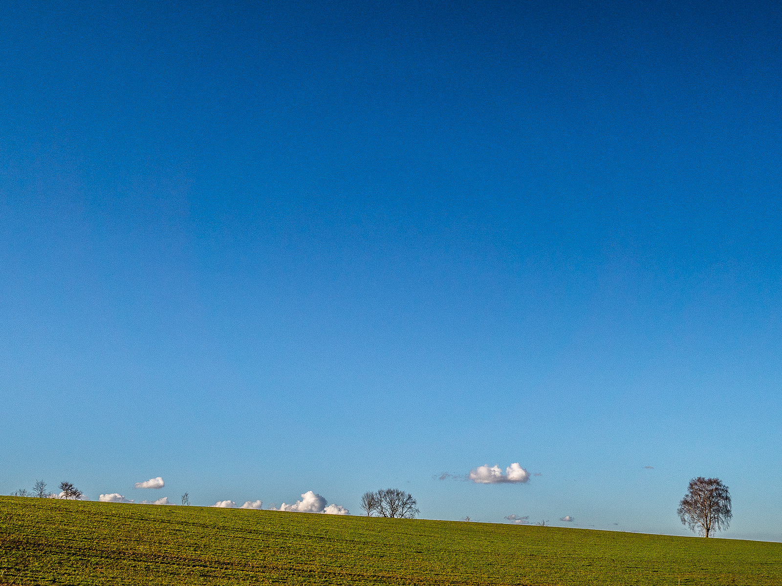 im Vordergrund ein schmaler Streifen grünen Ackerlandes, die Horizontlinie fällt nach rechts ab. Längs des Horizonts mehrere Baumsilhouetten und knapp darüber diverse Schäfchenwolken. Der größte Teil des Bildes ist nach oben dunkler werdender makellos blauer Himmel.