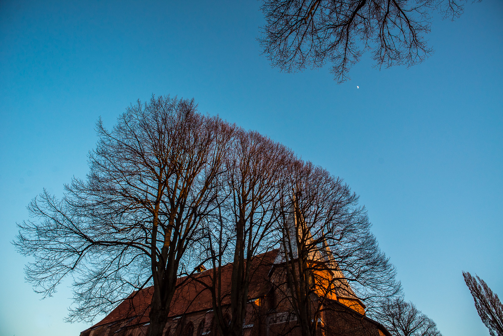 Backstein-Dom von Bardowick: Das gesamte Gebäude hinter mehreren großen Bäumen nur zu erahnen, darüber am blauen Himmel der Mond