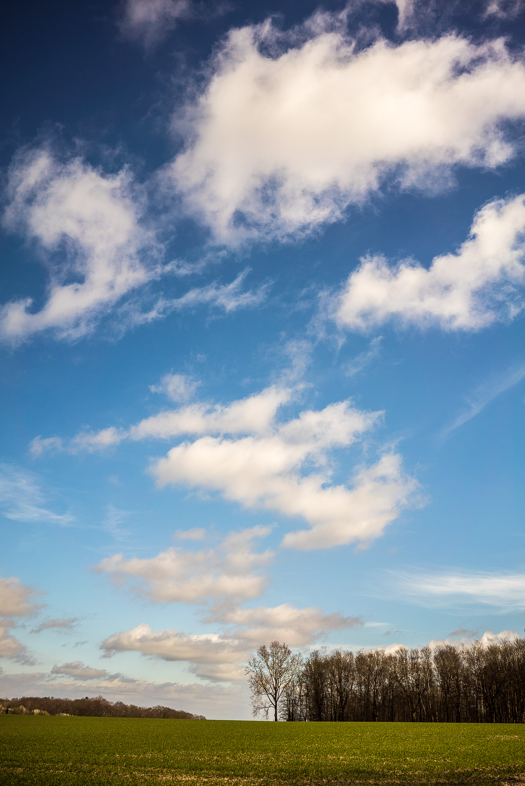 Hochformataufnahme von dunkelblauem Wolkenhimmel, am unteren Bildrand Wiese und ein Streifen von Bäumen