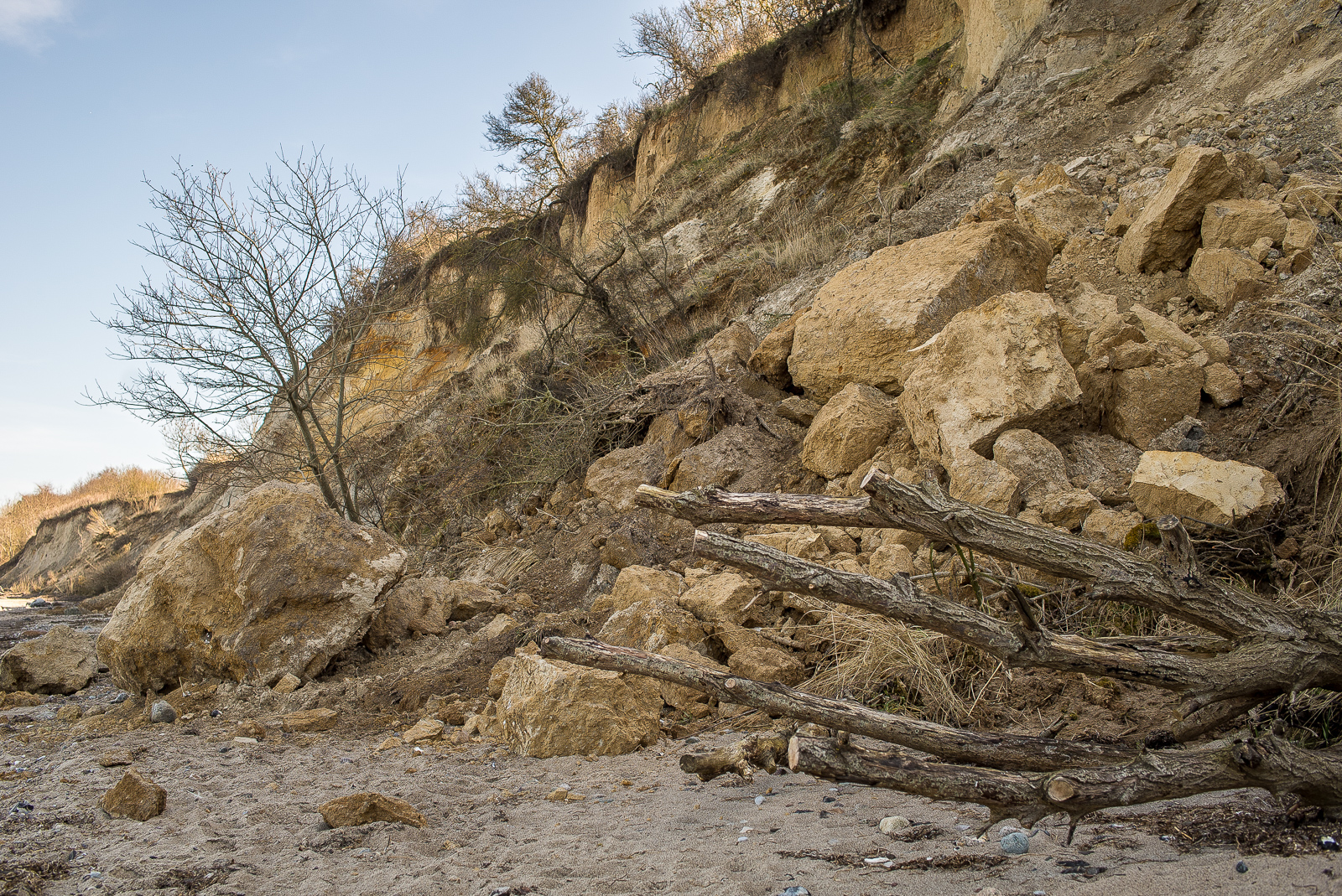 Steilküste mit großen Felsbrocken und umgestürztem Baum an der Abbruchkante