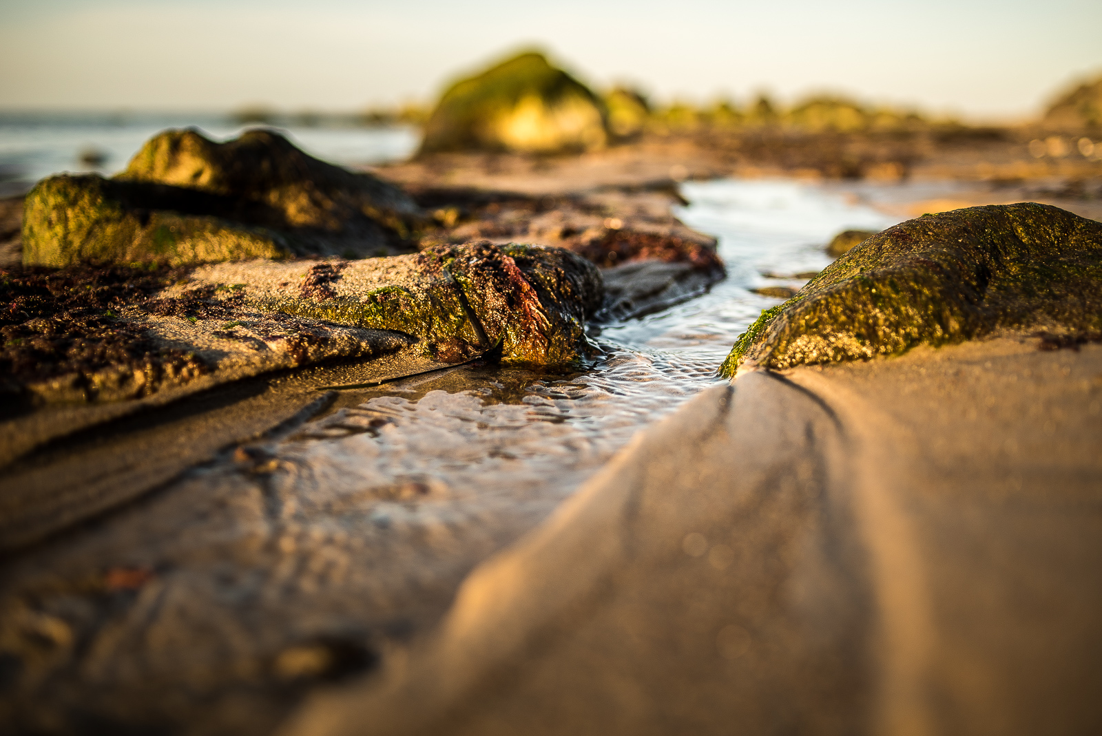 Ein kleiner Bach bahnt sich zwischen Steinen am Strand den Weg zum Meer. Die tiefstehende Sonne im Rücken des Fotografen lässt die Steine und den Sand warm leuchten.