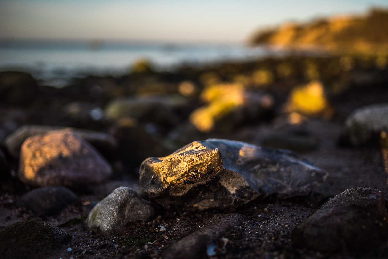 Abendlicht am felsigen Strand, fast die gesamte Küstenlandschaft liegt in Unschärfe, nur ein Flintstein, der einen Rest Sonnenlicht abbekommt, ist scharf in der unteren Bildmitte zu sehen.