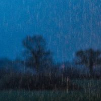 Vor dunkelblauem Abendhimmel als Hintergrund sind als feines helles Streifenmuster zahlreiche fallende Regentropfen zu sehen. Sie werden offensichtlich von einer Lichtquelle angestrahlt, die im Bild aber selbst nicht sichtbar wird. In der unteren Bildhälfte erkennt man unscharf eine Baumreihe auf einer Wiese als dunkle Silhouetten.