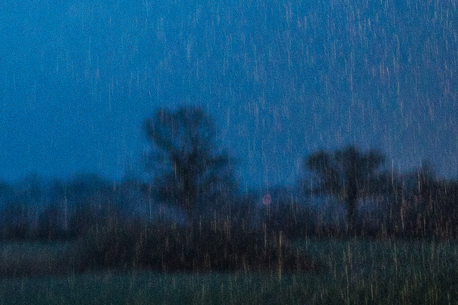 Vor dunkelblauem Abendhimmel als Hintergrund sind als feines helles Streifenmuster zahlreiche fallende Regentropfen zu sehen. Sie werden offensichtlich von einer Lichtquelle angestrahlt, die im Bild aber selbst nicht sichtbar wird. In der unteren Bildhälfte erkennt man unscharf eine Baumreihe auf einer Wiese als dunkle Silhouetten.
