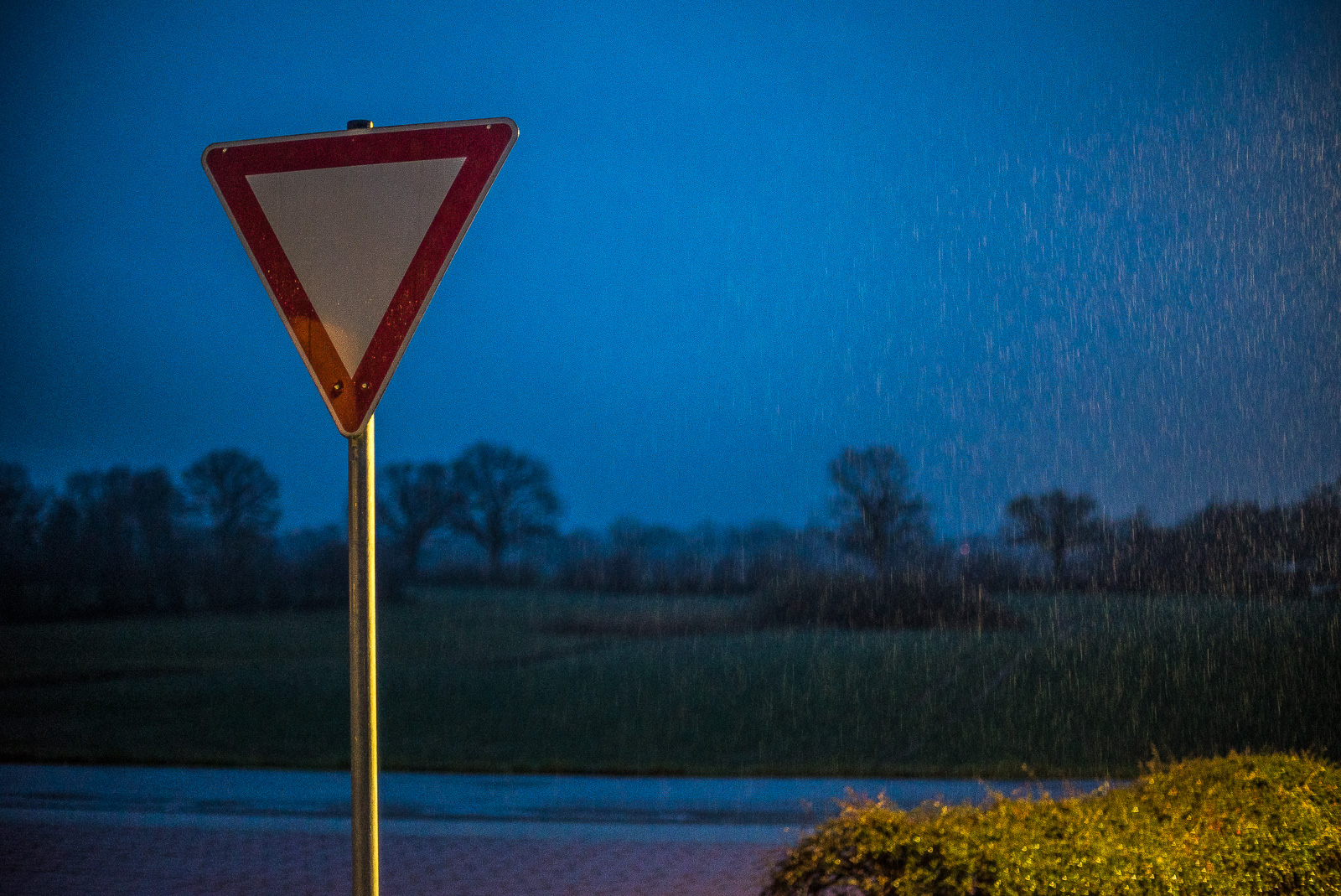 Ein Verkehrsschild "Vorfahrt gewähren" vor dem Hintergrund einer Feldlandschaft mit Bäumen, abends, bei kräftigem Regen