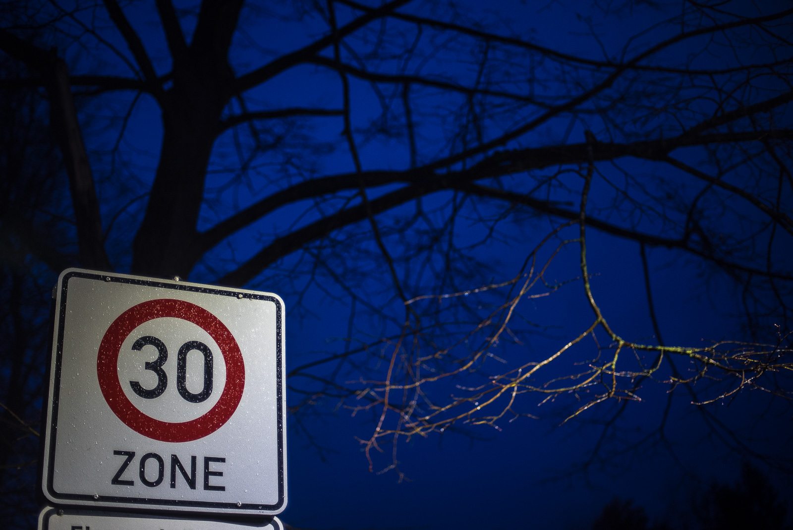 Nachtszene (Himmel, Baum) mit beleuchtetem Verkehrsschild "30 Zone"