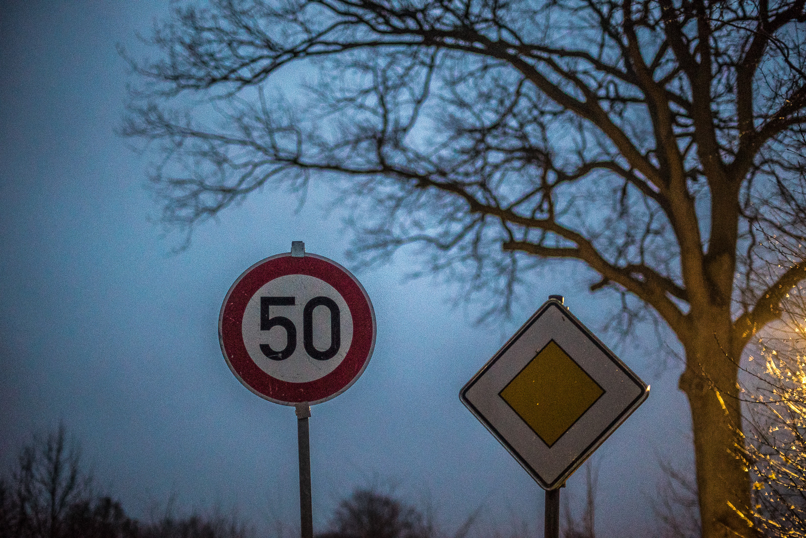 Zwei Verkehrsschilder "50" und "Vorfahrtstraße" vor einem Baum und Abendhimmel