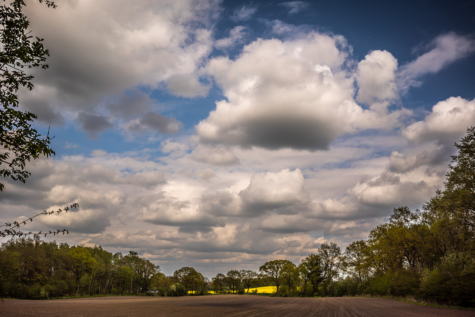 Eine Landschafts-Fotografie mit mehr als 3/4 Himmel und vielen tief hängenden Wolken. Am unteren Bildrand ein brach liegender bräunlicher Acker, links und rechts wird das Bild von Bäumen gefasst. Zwischen Acker und Himmel, hinter einer Baumreihe kaum zu sehen, ein Streifen Gelb, offensichtlich ein Rapsfeld.