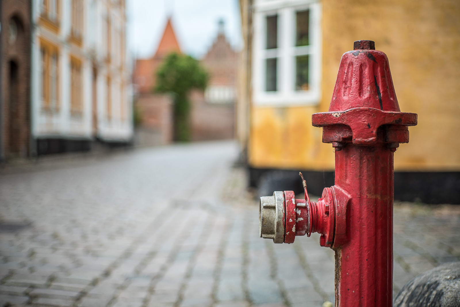 ein roter Hydrant vor historischen Häusern und Kopfsteinpflaster