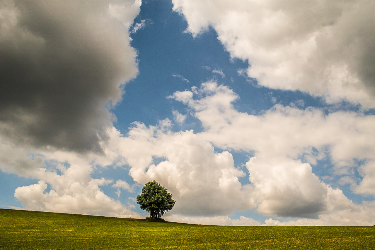 Ein einzelner Baum auf einer Wiese, daüber spektakuläre Wolken