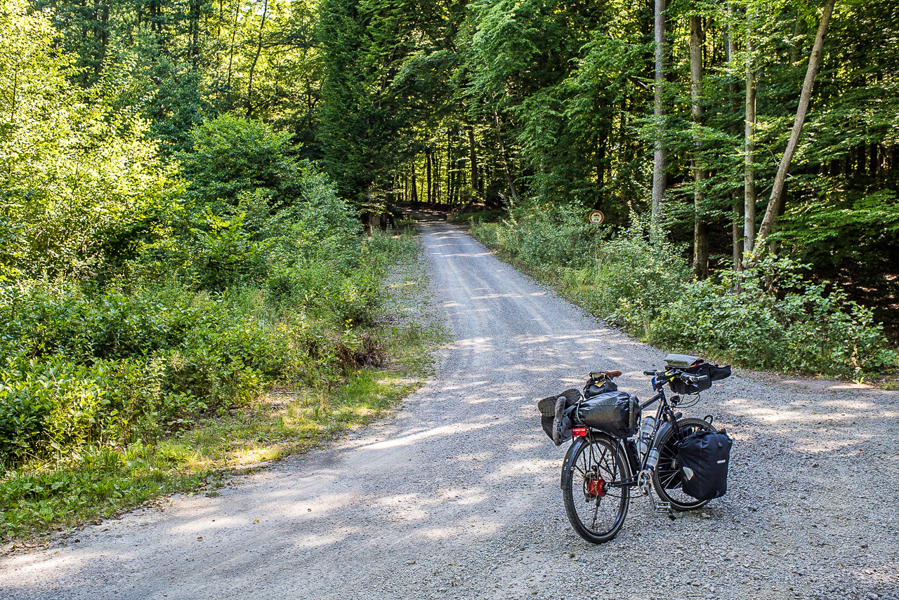 Eine Schotterpiste im Wald, steil ansteigend, im Vordergrund ein Fahrrad