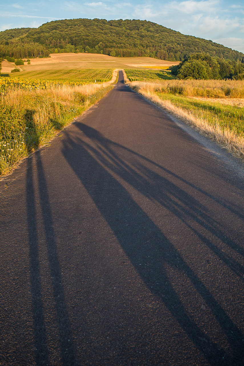 Eine Landstraße, auf die tiefstehende Sonne den Schatten eines Menschen und eines Fahrrads wirft
