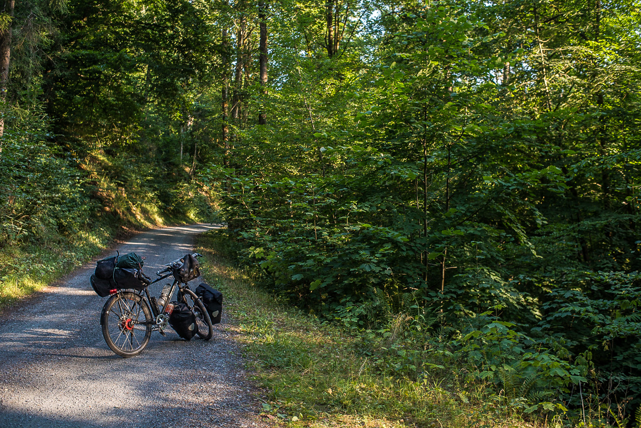 Eine Schotterpiste in dichtem Wald, ein Fahrrad