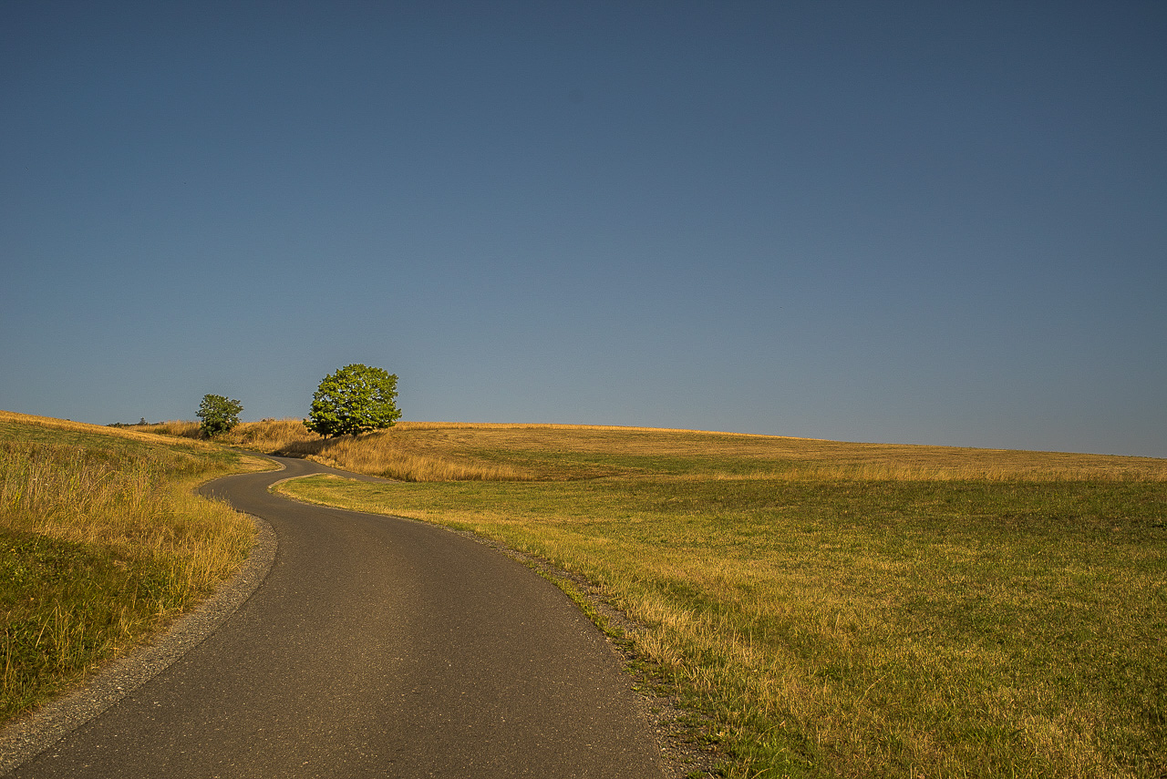 Eine kurvige Straße einen Hügel hinauf, klarer blauer Himmel, Wiese, zwei kleine Bäume