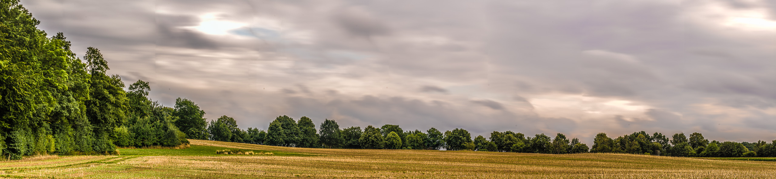 Ein abgeerntetes Feld , an zwei Seiten von LaubWald umgeben, unter dramatisch beleuchteten dichten Wolken