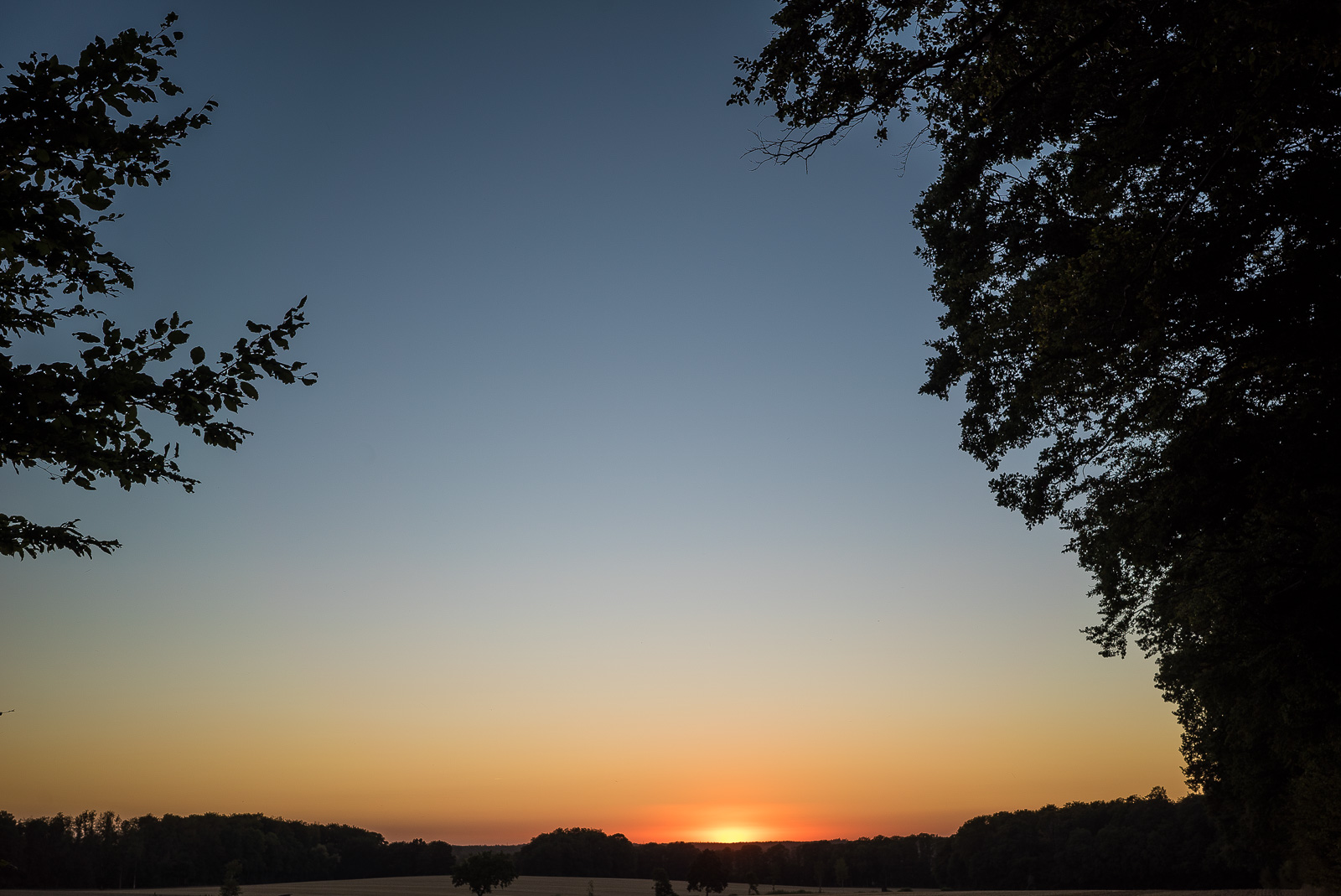 Ein klarer blauer AbendHimmel, der nach unten hin orange wird. Am unteren BildRand ein dunkler Horizont und ein Rest der Sonne. Links und rechts ist das Bild von Baum-Silhouetten eingefasst.