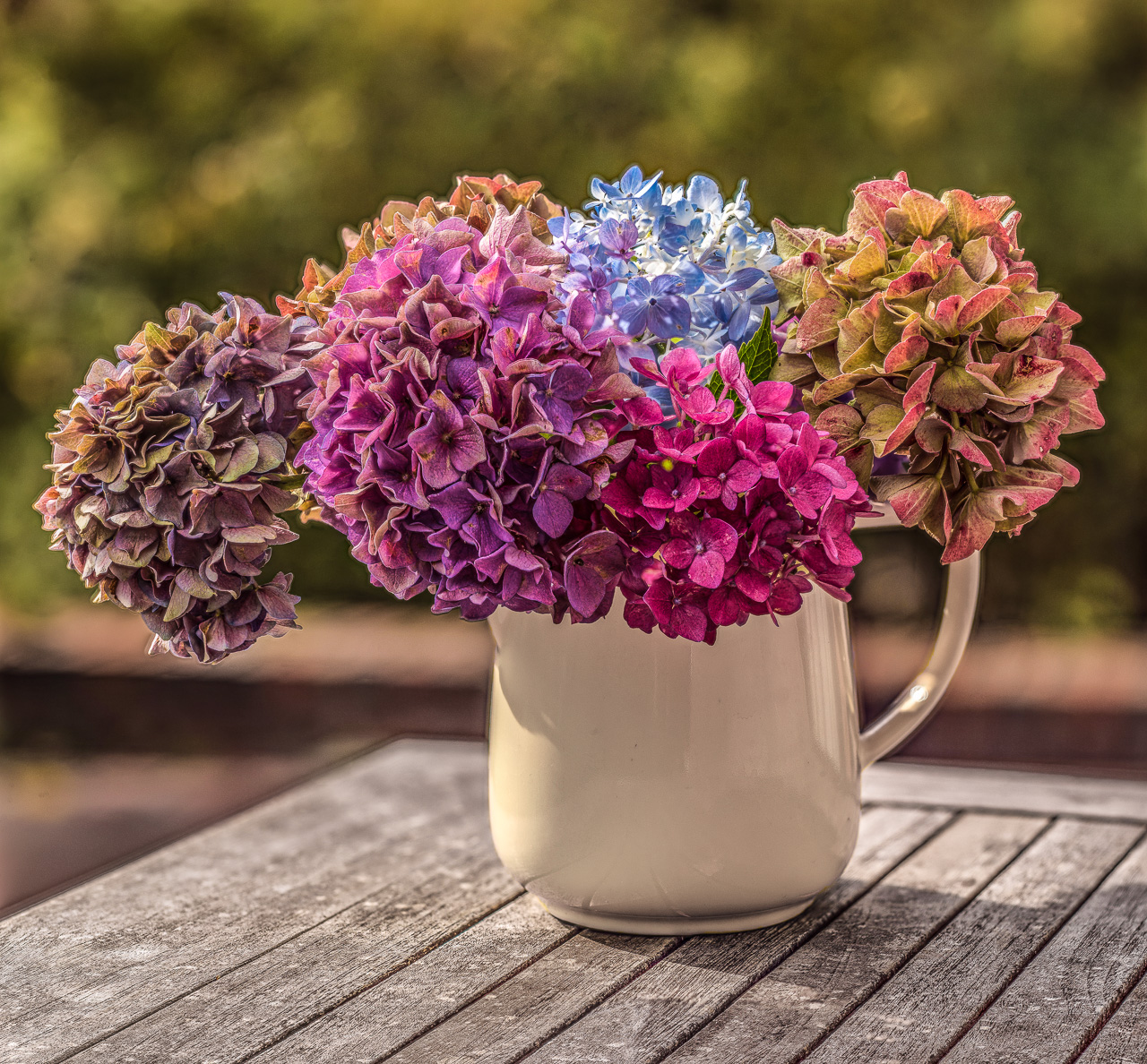 Auf einem verwitterten Holztisch steht draußen eine keramische Vase, eher ein Krug, mit mehreren Hortensienblüten in vielen verschiedenen Farben von Gelb über Blau bis Violett
