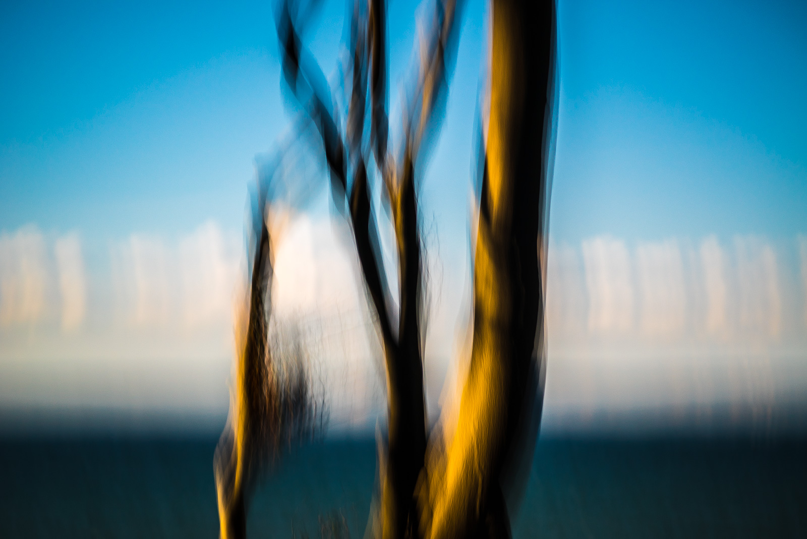 Baum im Seitenlicht vor blauem Himmel, durch Bewegung der Kamera stark verwischt