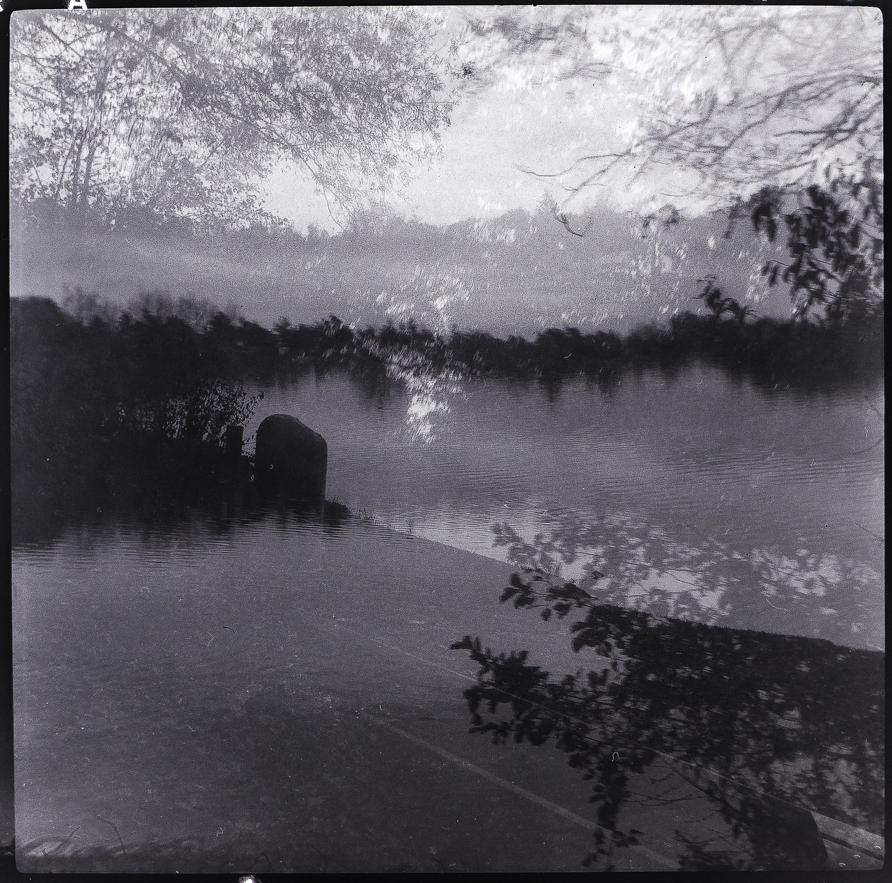 Quadratisches SchwarzWeißFoto: Mehrere Belichtungen eines See-Ufers mit Bäumen überlagert