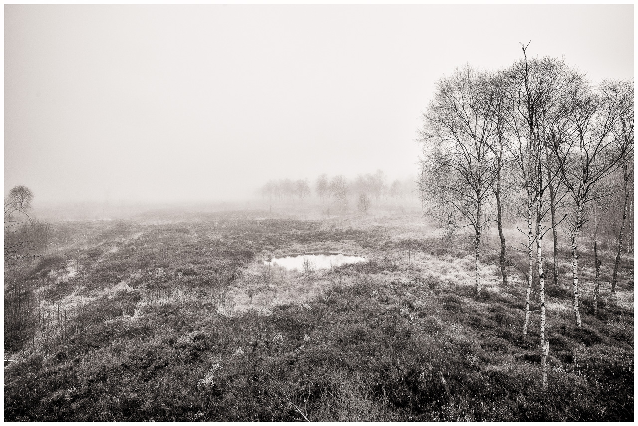 SchwarzWeißFoto: Ein kleiner runder Tümpel in einem HochMoor, vorn rechts mehrere Birken, der HinterGrund verschwimmt in Nebel