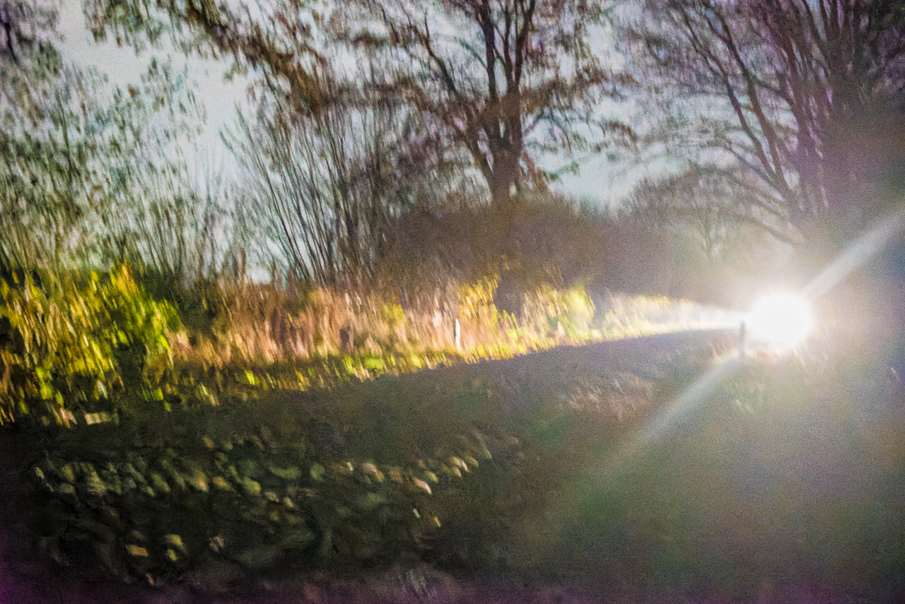 Eine KopfsteinPflasterStraße durch den Wald, nachts, sehr wackliges Foto aus niedriger Perspektive, ein entgegenKommendes Auto sorgt für LichtReflexe