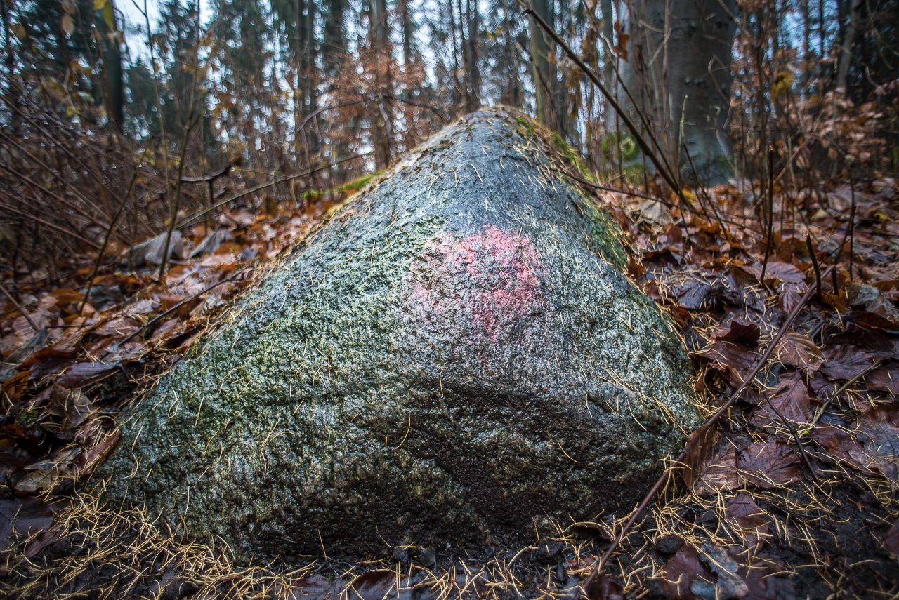 Ein großer Findlings-Stein mitten im Wald mit einem roten gemalten Fleck aus niedriger Perspektive