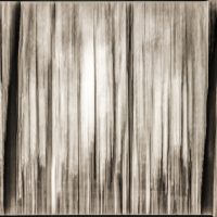 SchwarzWeißFoto: Zahlreiche unregelmäßige dunkle Linien verlaufen parallel von oben nach unten. Der Hintergrund ist oben hell und nach unten etwas dunkler.