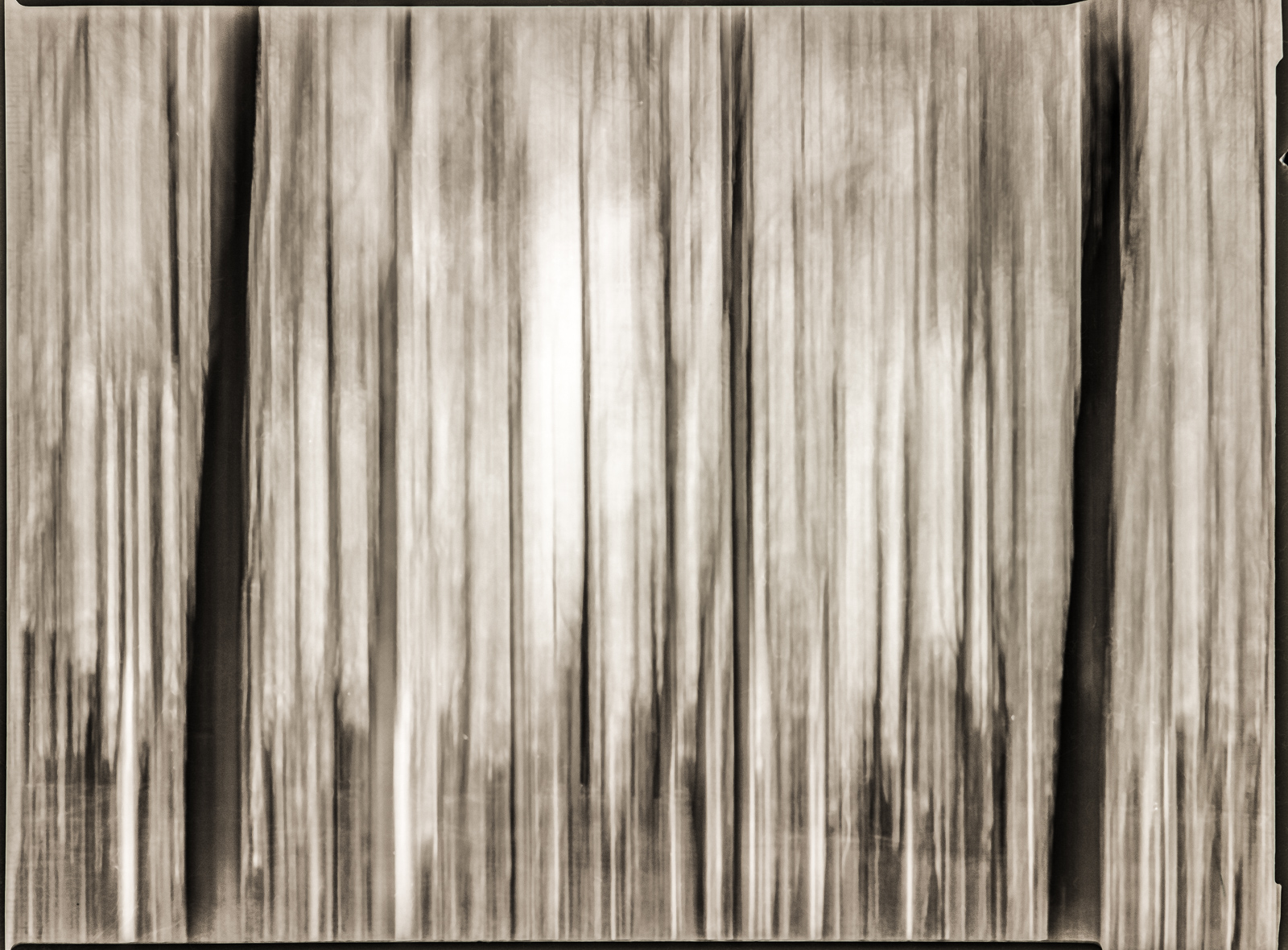 SchwarzWeißFoto: Zahlreiche unregelmäßige dunkle Linien verlaufen parallel von oben nach unten. Der Hintergrund ist oben hell und nach unten etwas dunkler.