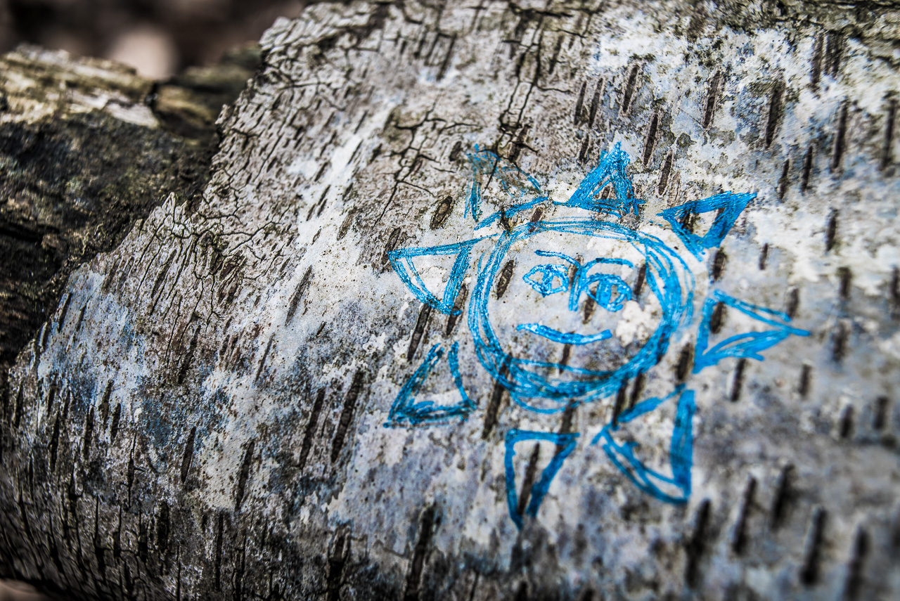 Auf der überwiegend weißen Rinde einer umgefallenen Birke ist mit blauem Metallic-Stift eine Sonne mit Gesicht und dicken Strahlen aufgemalt. 