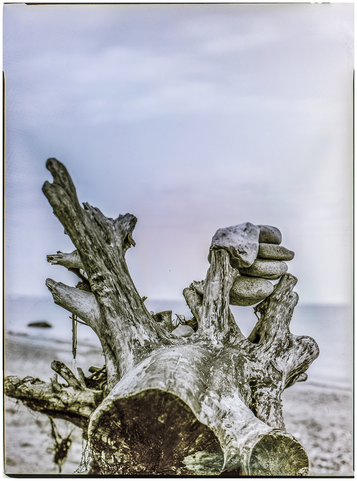 HochformatFoto einer BaumWurzel, die ohne Rinde am Strand liegt. Zwischen zwei WurzelAusläufern hat jemand eine SteinPyramide gestapelt. Hinten unscharf das Meer und der Himmel. Das Bild ist schwarz-weiß mit leichter blau/brauner Tonung.