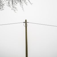 Hölzerner Pfahl einer simplen StromLeitung vor strukturLosem weißem Himmel. Oben links ragen ein paar kahle Zweige ins Bild.