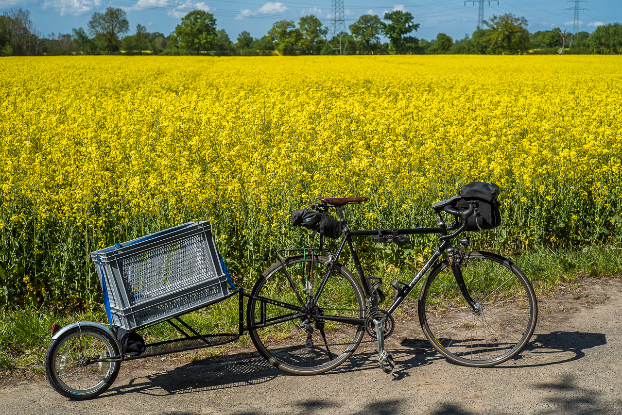 Vor einem leuchtend gelben RapsFeld steht ein schwarzes Fahrrad mit RennLenker und braunem LederSattel. Am Rad hängt ein EinspurAnhänger, ebenfalls schwarz. Darauf sind mit blauem ZurrRiemen zwei graue EuroBoxen festgespannt.