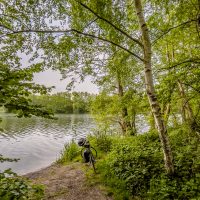 Am dicht mit Birken bewachsenen Ufer eines Sees steht an einer schmalen sandigen Stelle ein Fahrrad
