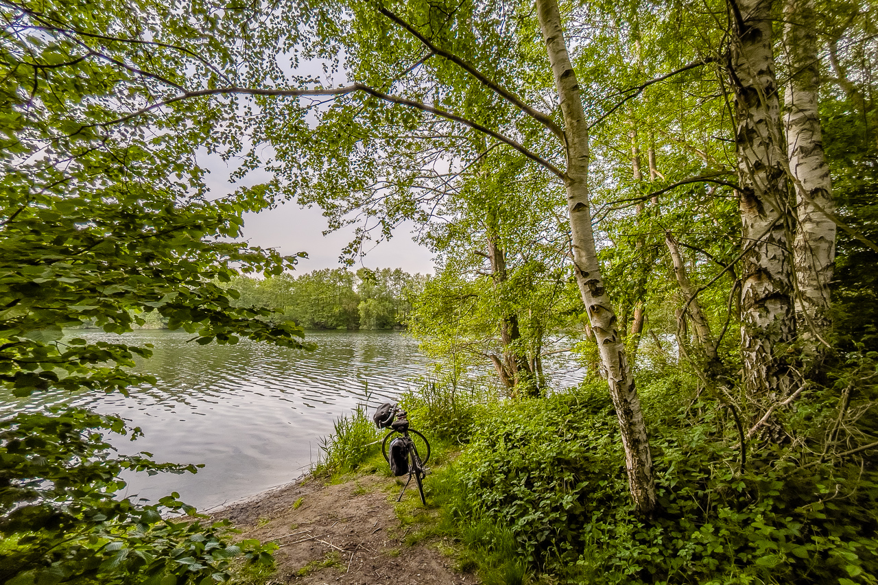 Am dicht mit Birken bewachsenen Ufer eines Sees steht an einer schmalen sandigen Stelle ein Fahrrad