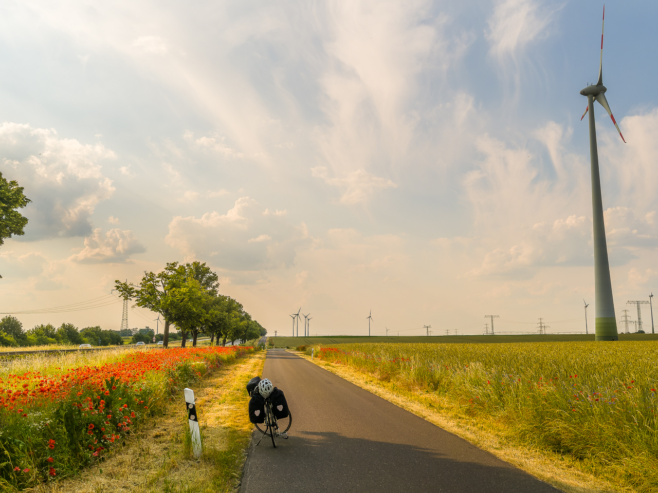 Schmale, unmarkierte Landstraße zwischen Getreide- und Mohnfeldern. Viele WindRäder, ein Fahrrad.