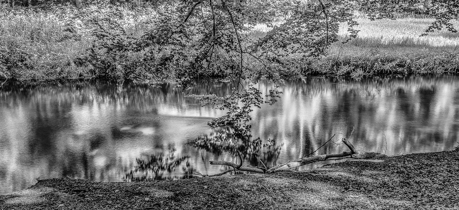 Breitbild-Foto eines BachLaufs zwischen einer sonnigen Wiese (hinten) und einem Wald. BuchenÄste hängen ins Wasser, die Bewegung zeichnet weiche Spuren auf die WasserOberFläche. SchwarzWeißBild.