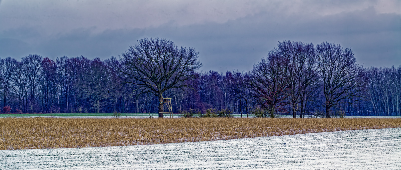 Panorama-QuerFormatFoto einer WinterLandschaft. Oberes Drittel AbendHimmel mit Wolken; mittleres Drittel eine BaumReihe am Horizont und vier Bäume mit einem Hochsitz im MittelGrund. Unteres Drittel, diagonal getennt, ein braunes Feld und ein beschneites weißes Feld.