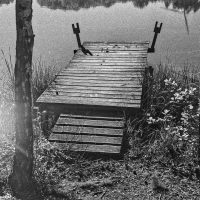 Ein kleiner Steg zu einem Teich im Wald, die Sonne spiegelt sich im Wasser. SchwarzWeißFoto