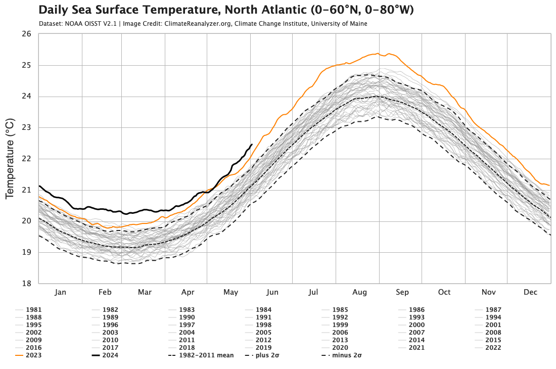 Grafik der OberflächenTemperatur des NordAtlantiks im JahresVerlauf. Jedes Jahr wird in einer Linie dargestellt, die Linien für 2023 und bis Mai 2024 sind um mehrere ZehntelGrad höher als die bisherigen Werte.