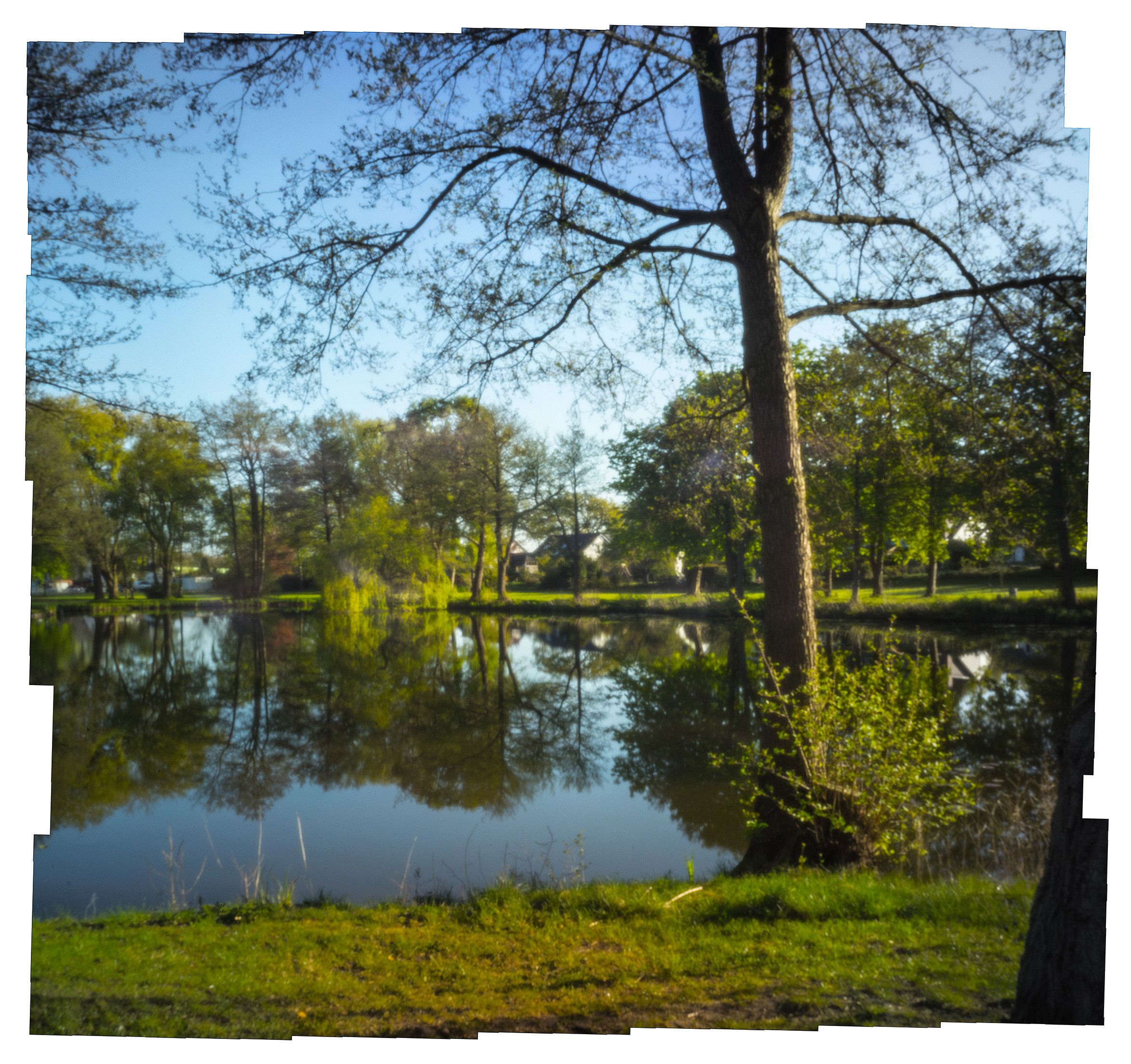 Ein DorfTeich, umstanden von Bäumen, im Frühling. Das leicht diffus oder weich-gezeichnet wirkende Foto ist erkennbar aus mehreren Reihen und Spalten von EinzelFotos zusammengesetzt.